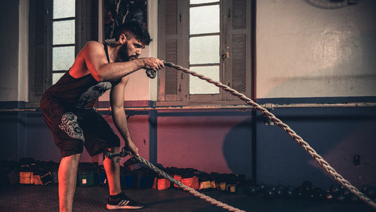 Shielding Your Body's Fortress: Power of Immune Support Supplements