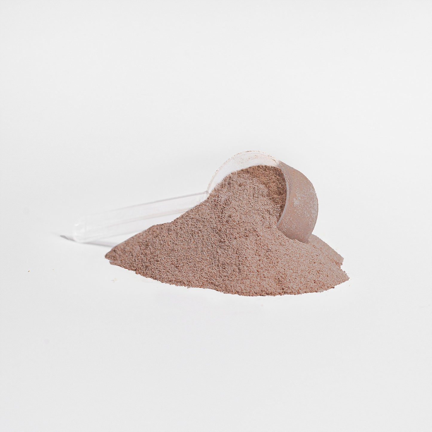 Protéine de lactosérum (saveur chocolat)